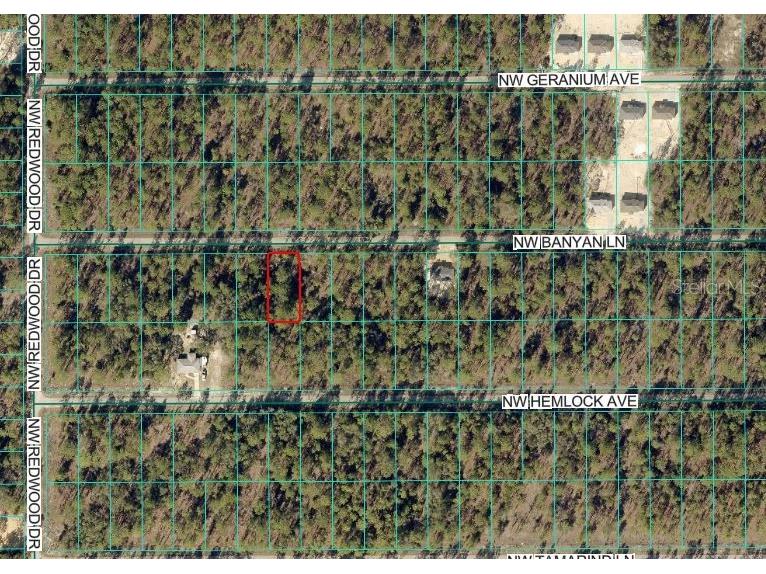 Nw Banyan Ln Dunnellon FL 34431 OM717058 image2