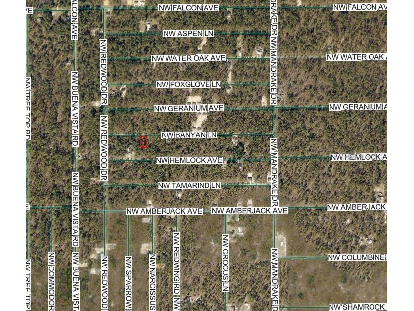 Nw Banyan Ln Dunnellon FL 34431 OM717058 image3