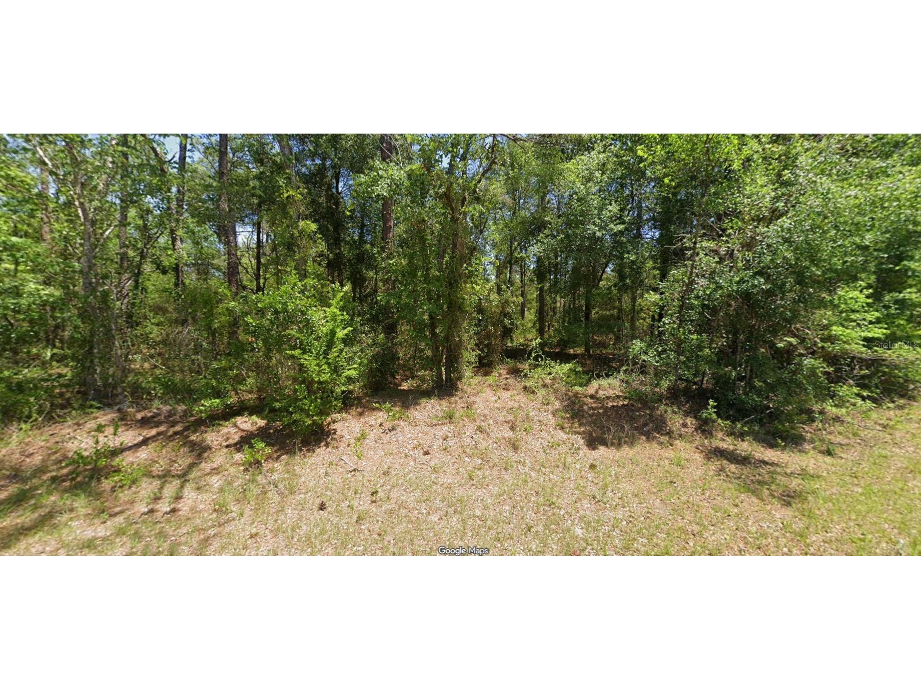 NW Buena Vista Rd Dunnellon FL 34431 OM723497 image1