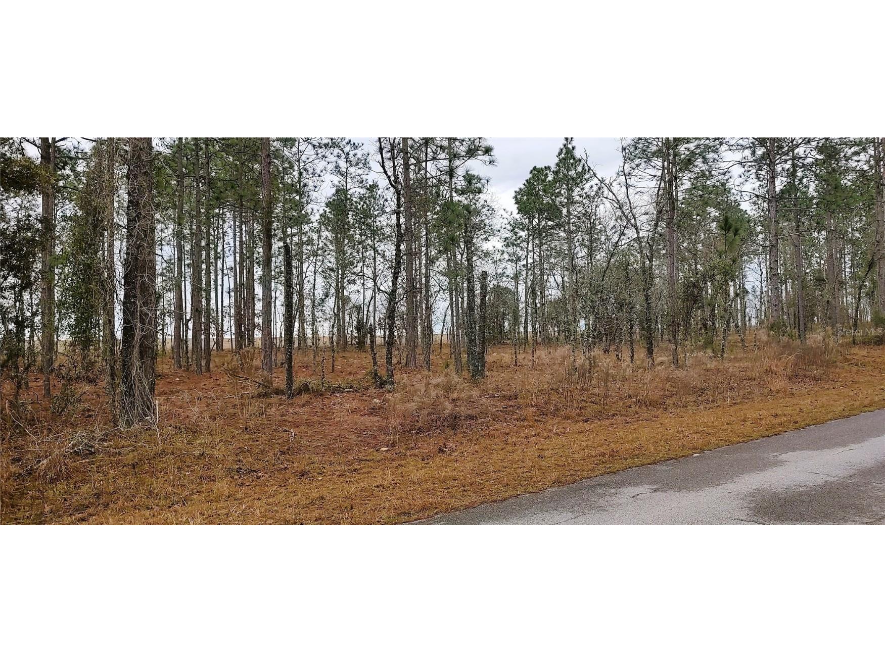 NW Buena Vista Road Dunnellon FL 34431 OM672200 image1