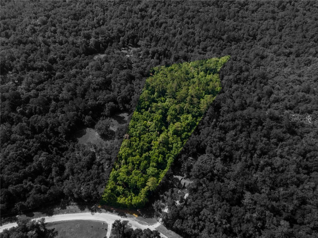 NW Champion Oak Boulevard Jennings FL 32053 GC524379 image1