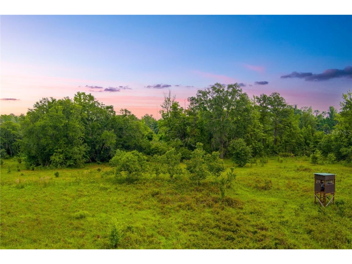 NW Colin Court Lake City FL 32055 GC522581 image1