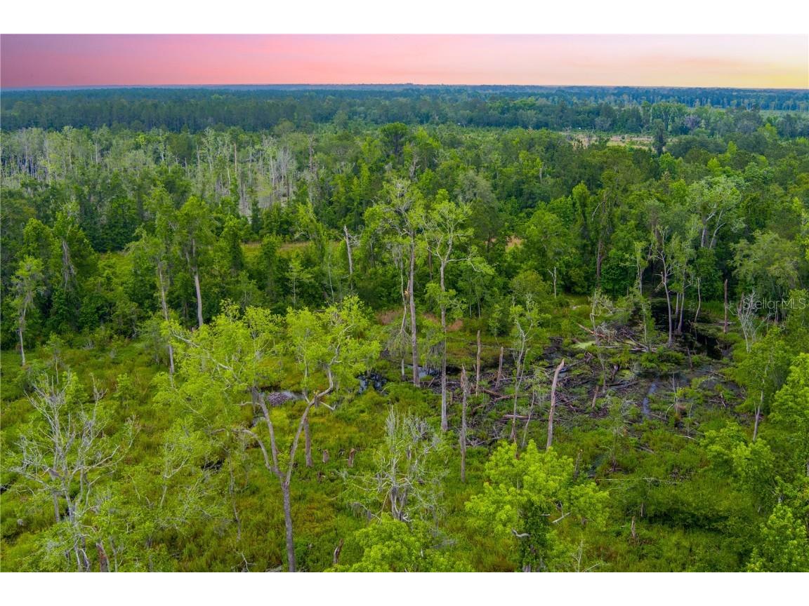 NW Colin Court Lake City FL 32055 GC522581 image10