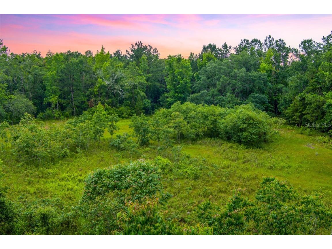 NW Colin Court Lake City FL 32055 GC522581 image11