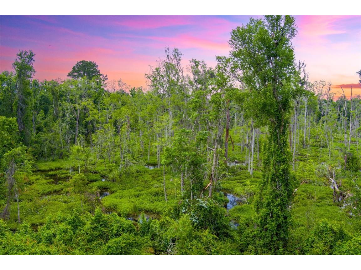 NW Colin Court Lake City FL 32055 GC522581 image12