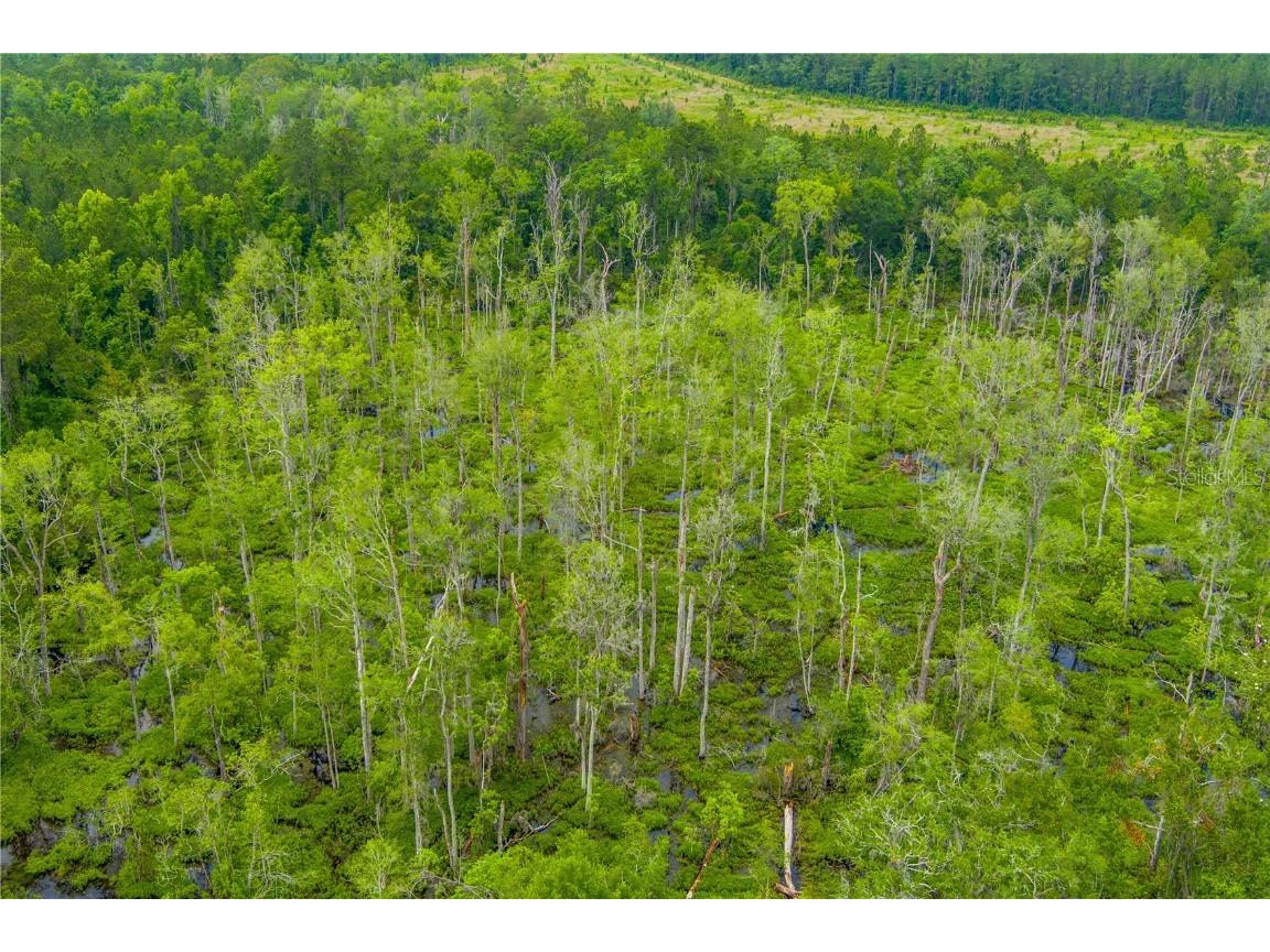 NW Colin Court Lake City FL 32055 GC522581 image14