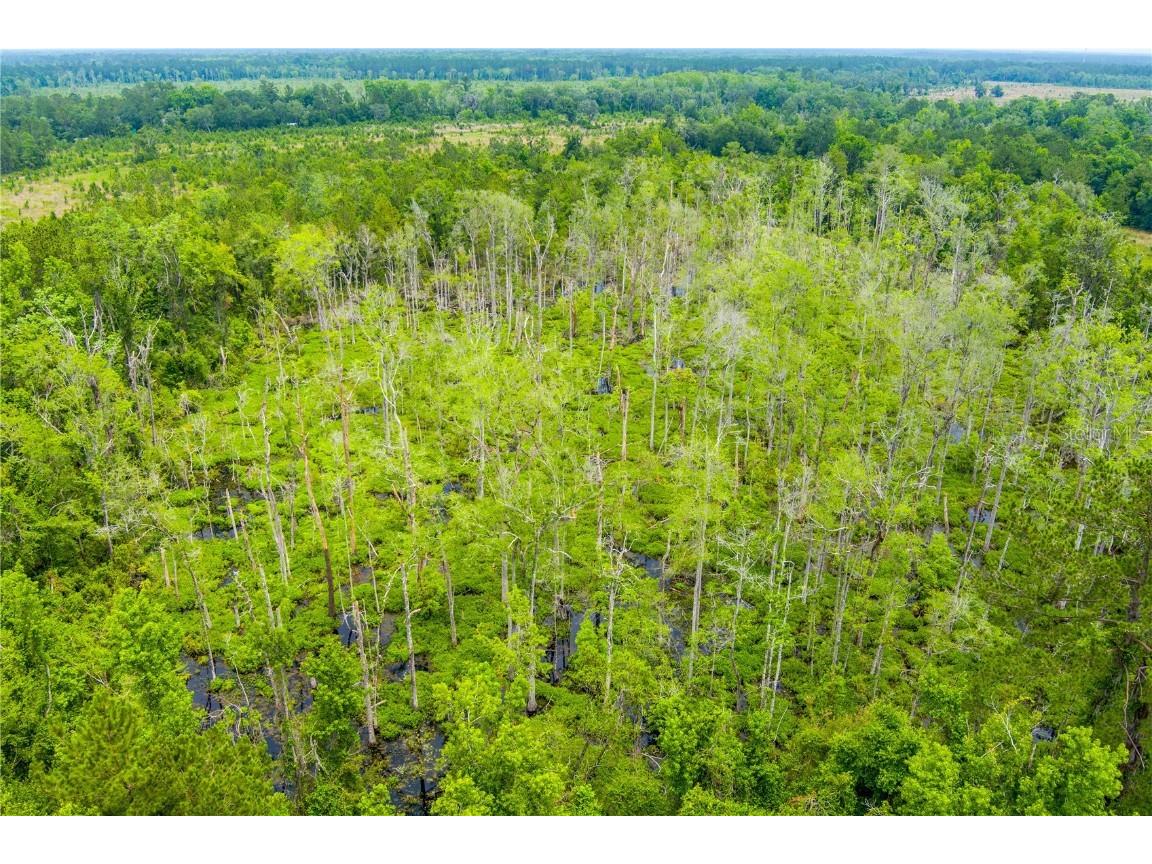 NW Colin Court Lake City FL 32055 GC522581 image15