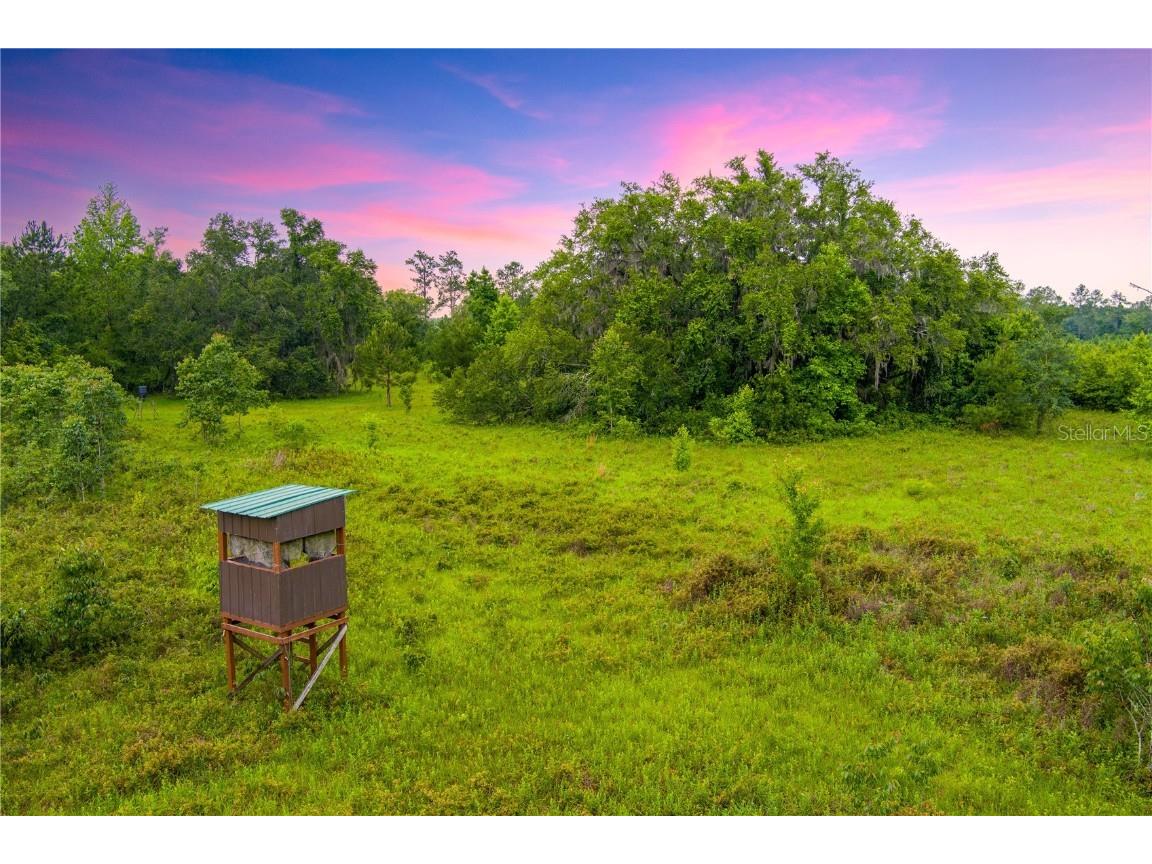 NW Colin Court Lake City FL 32055 GC522581 image3