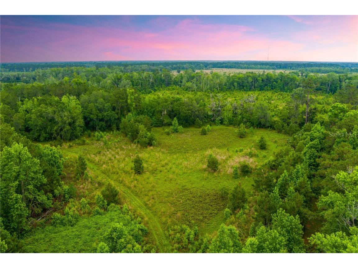 NW Colin Court Lake City FL 32055 GC522581 image5