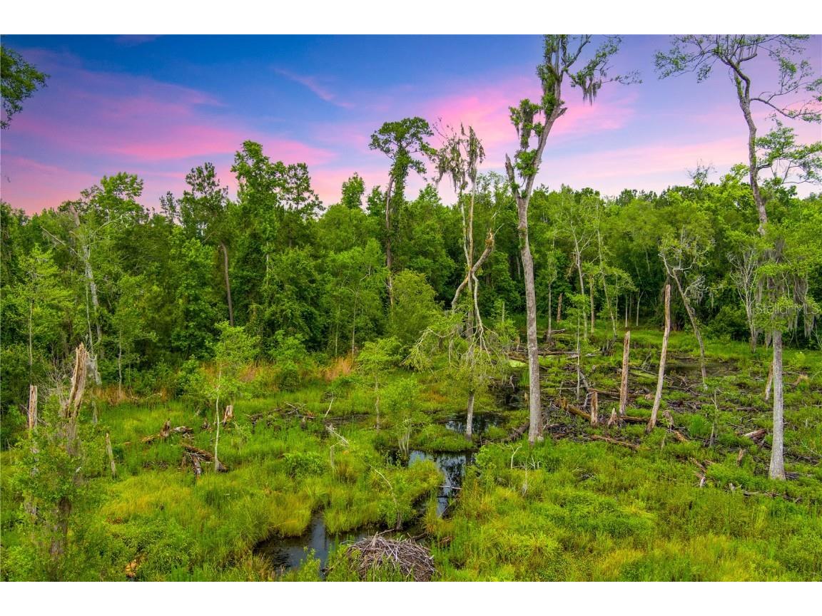 NW Colin Court Lake City FL 32055 GC522581 image6