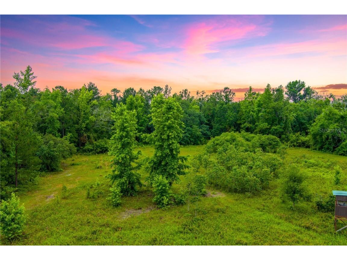 NW Colin Court Lake City FL 32055 GC522581 image7