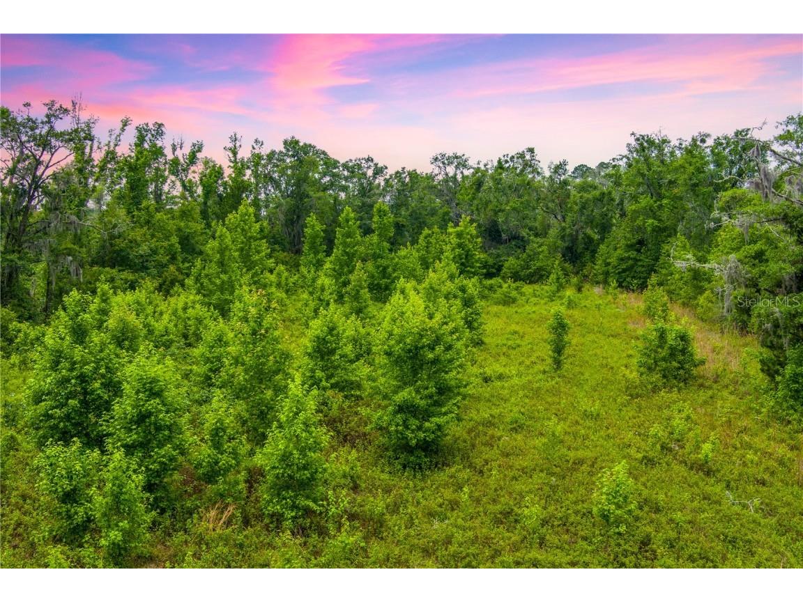 NW Colin Court Lake City FL 32055 GC522581 image9