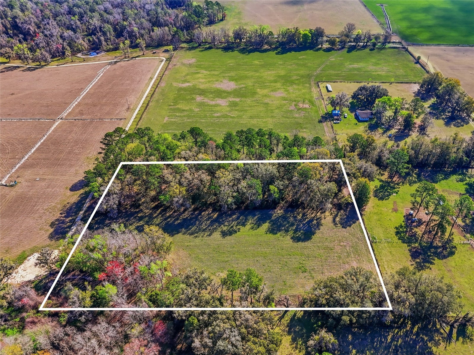 NW County Rd 239 Alachua FL 32615 GC537807 image3