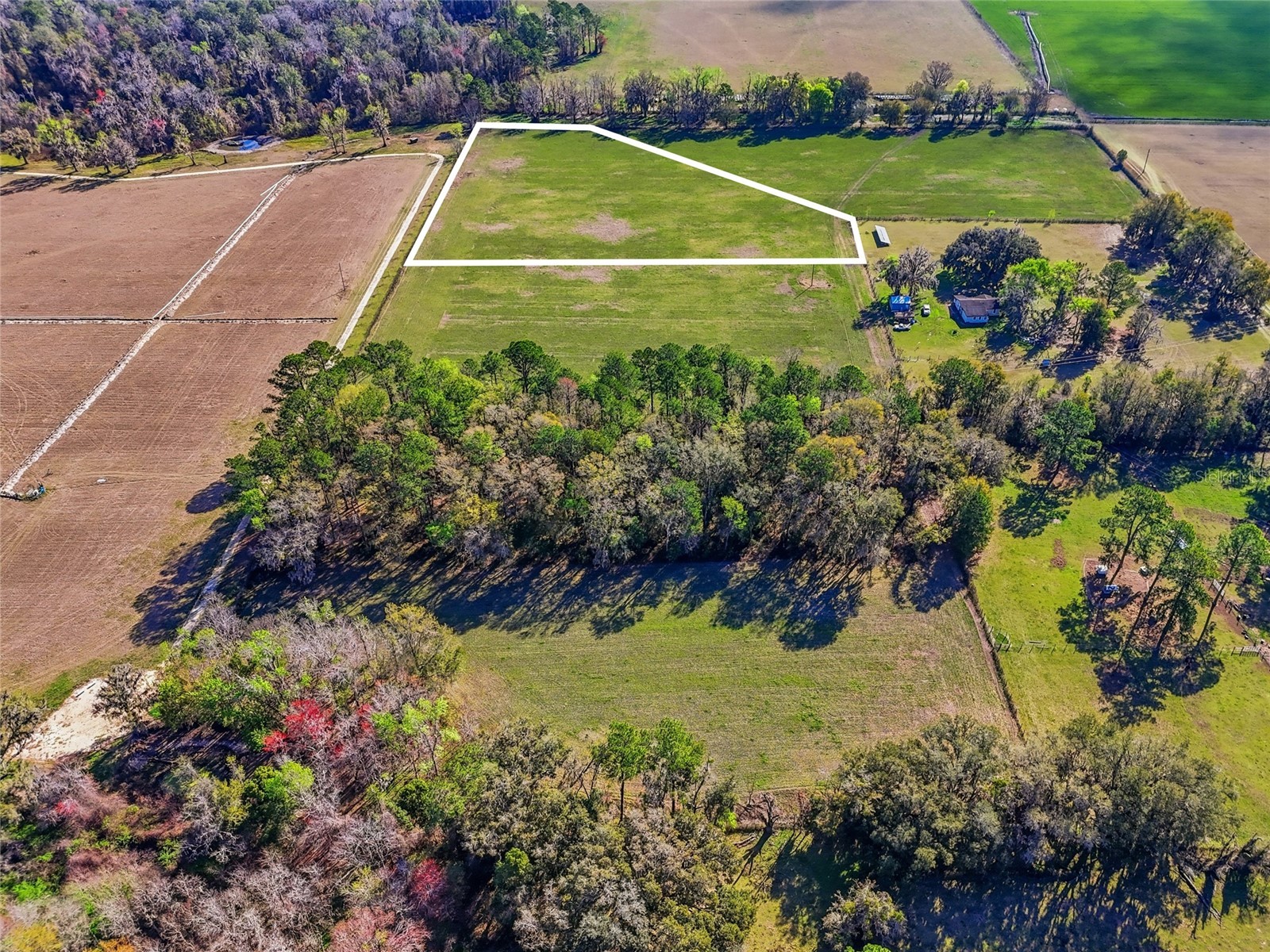 NW County Rd 239 Alachua FL 32615 GC537810 image6