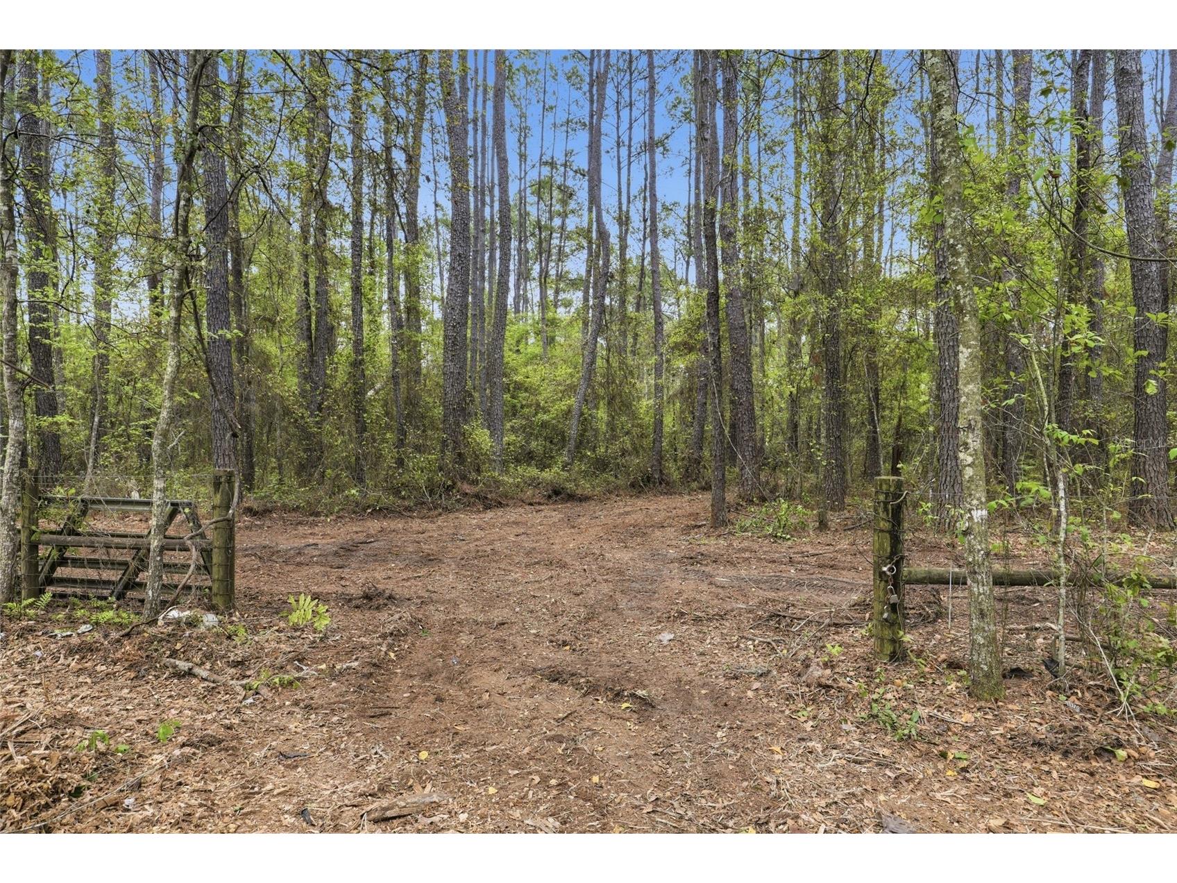 Nw County Road 231 Gainesville FL 32609 GC538920 image10