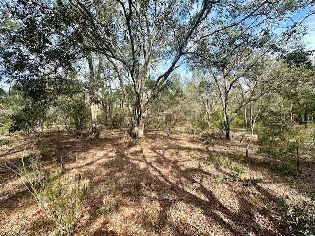 NW County Road 236 Bell FL 32619 GC529000 image6