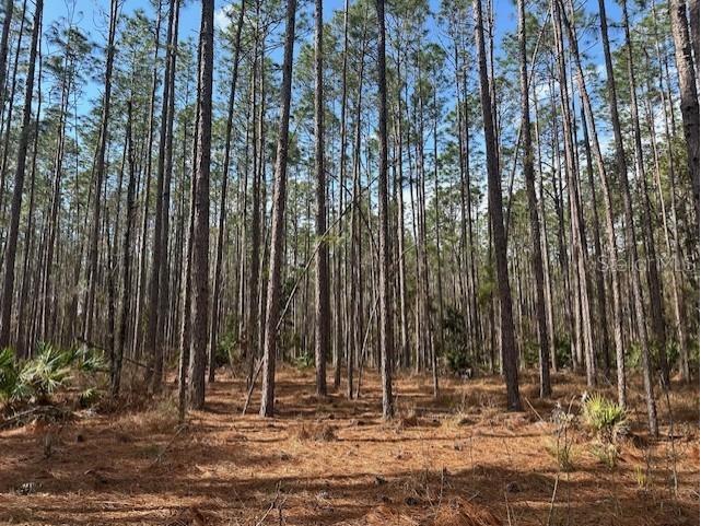 NW County Road 236 Bell FL 32619 GC529002 image1