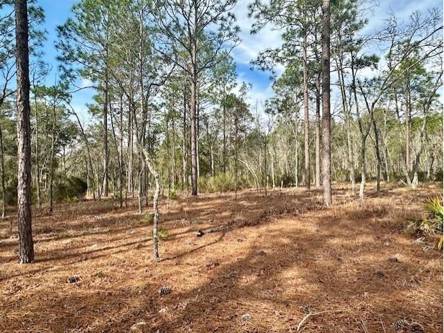 NW County Road 236 Bell FL 32619 GC529002 image10