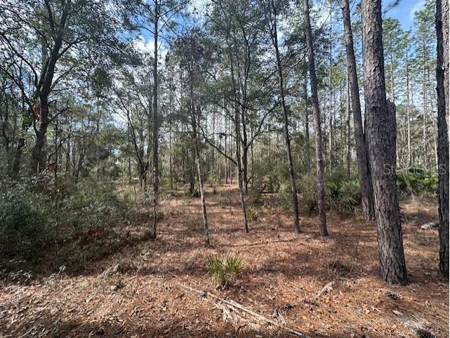 NW County Road 236 Bell FL 32619 GC529002 image5