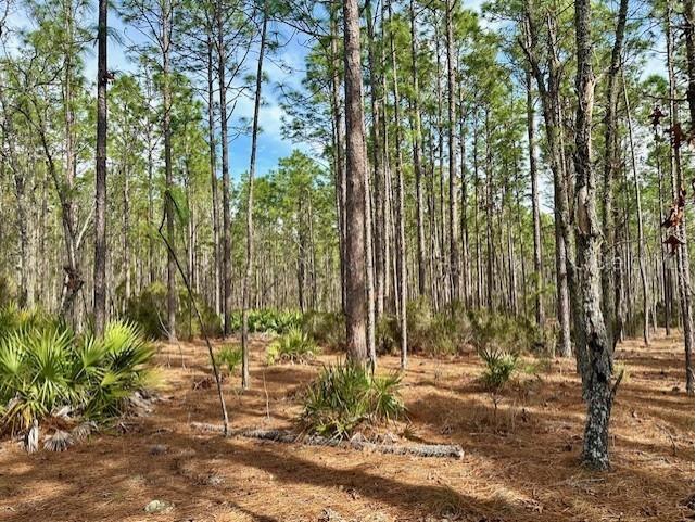 NW County Road 236 Bell FL 32619 GC529002 image9
