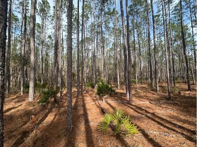 NW County Road 236 Bell FL 32619 GC529011 image2