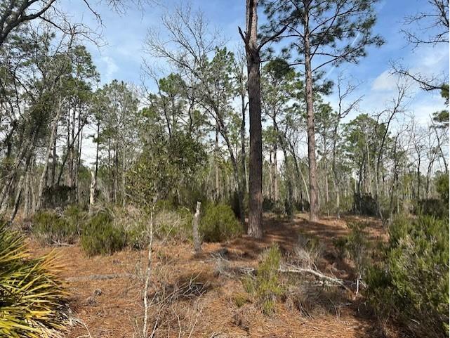 NW County Road 236 Bell FL 32619 GC529011 image4