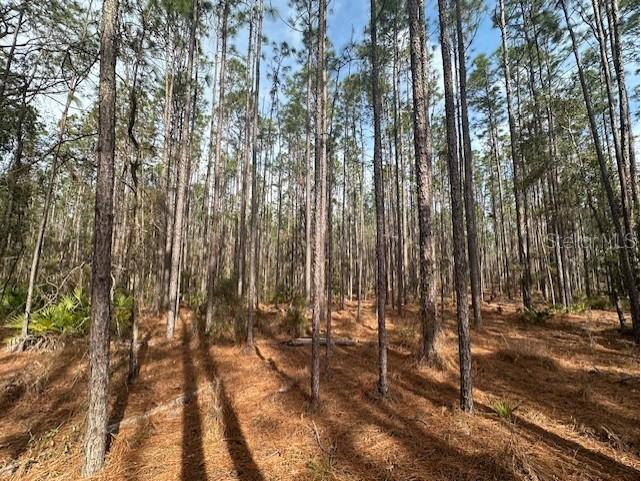 NW County Road 236 Bell FL 32619 GC529011 image9