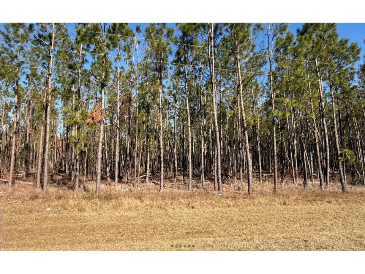 NW County Road 251 Mayo FL 32066 GC527690 image1