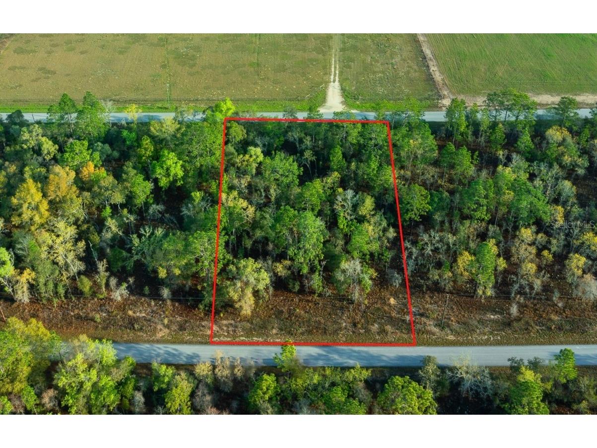 Nw Fairview Ave Dunnellon FL 34431 OM674462 image1