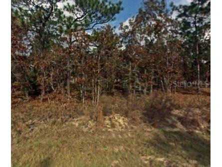 NW Falcon Avenue Dunnellon FL 34431 OM639053 image1