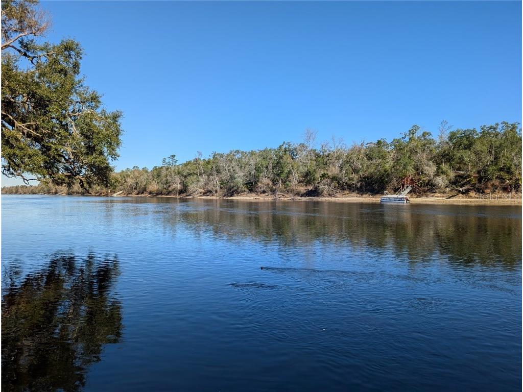 NW Fox Run Trail #107 Mayo FL 32066 - SUWANNEE RIVER TB8458797 image10