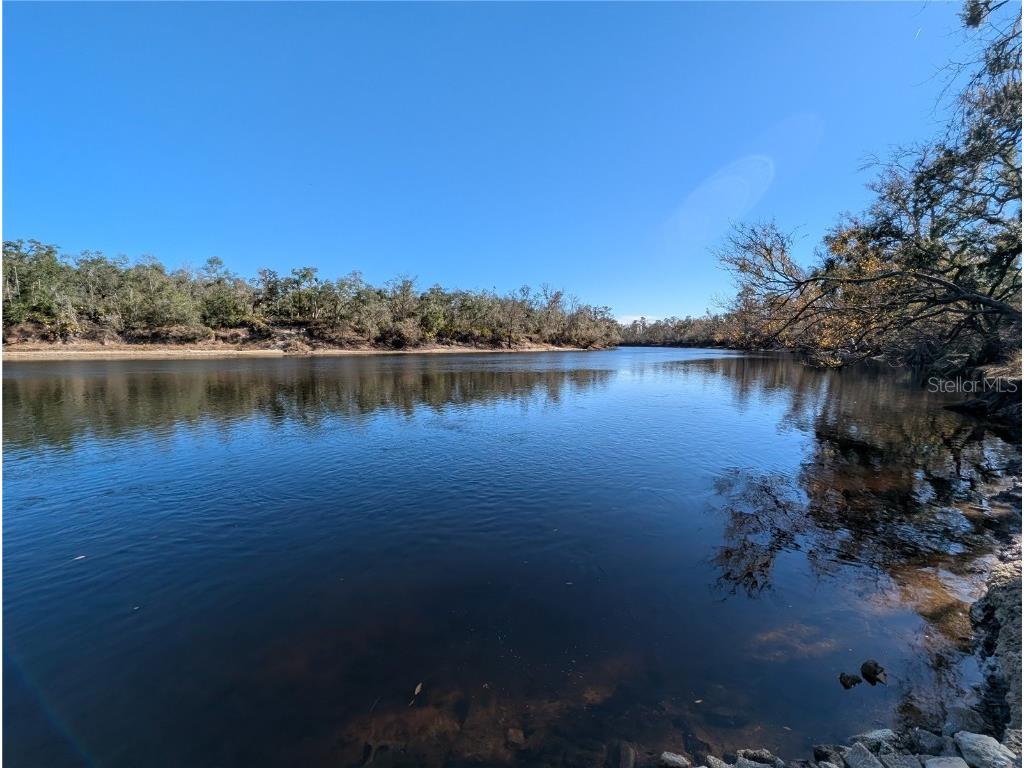 NW Fox Run Trail #107 Mayo FL 32066 - SUWANNEE RIVER TB8458797 image3