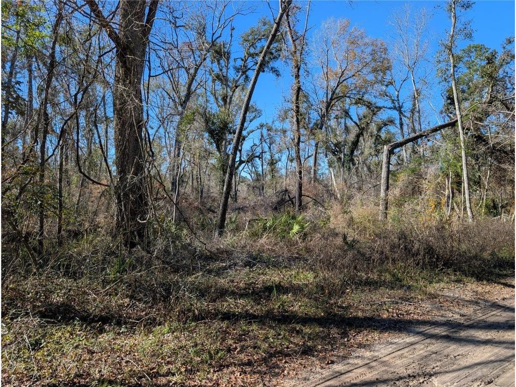 NW Fox Run Trail #107 Mayo FL 32066 - SUWANNEE RIVER TB8458797 image6