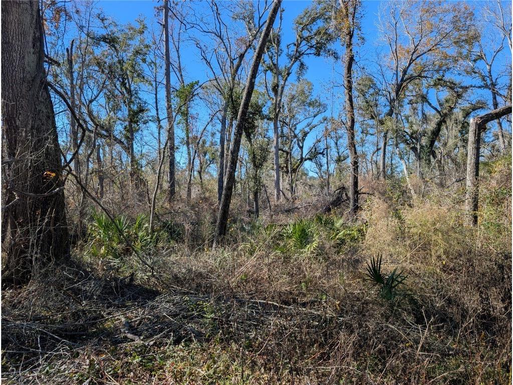 NW Fox Run Trail #107 Mayo FL 32066 - SUWANNEE RIVER TB8458797 image9