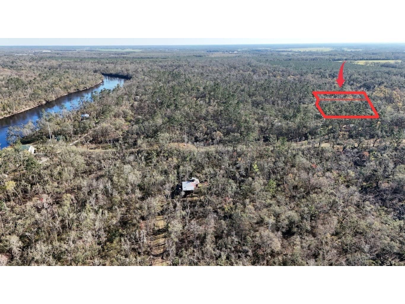 NW Fox Run Trail Mayo FL 32066 TB8359616 image1