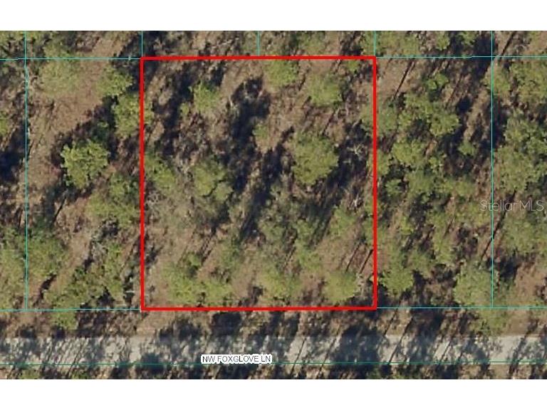 Nw Foxglove Lane Dunnellon FL 34431 OM694888 image1
