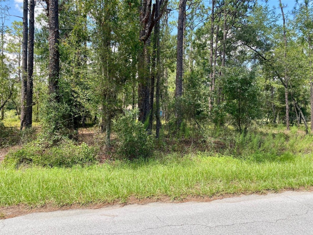 Nw Geranium Avenue Dunnellon FL 34431 OM683318 image1