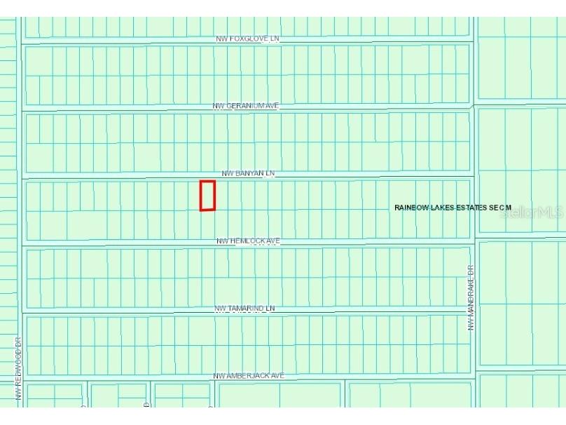 NW Geranium Avenue Dunnellon FL 34431 W7866876 image1