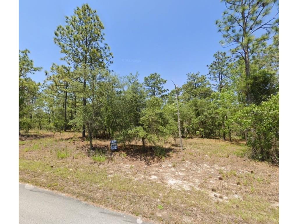 NW Geranium Avenue Dunnellon FL 34431 OM698991 image1