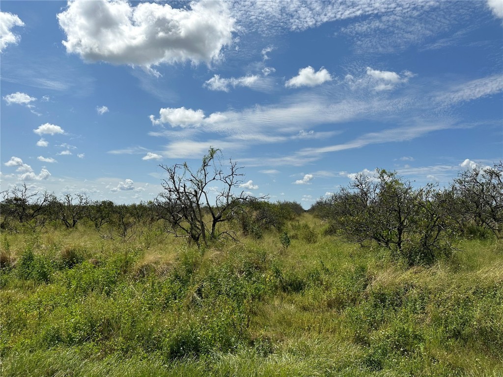 NW Highway 70 Arcadia FL 34266 A4581771 image1