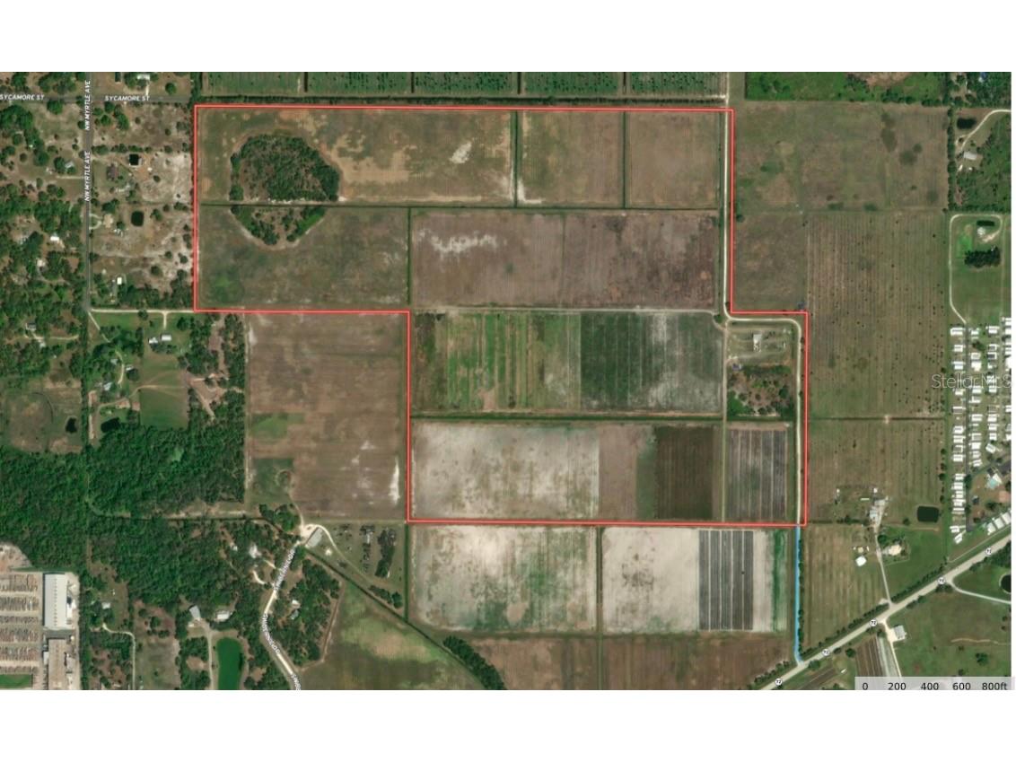 Nw Hwy 72 Arcadia FL 34266 B4902155 image1