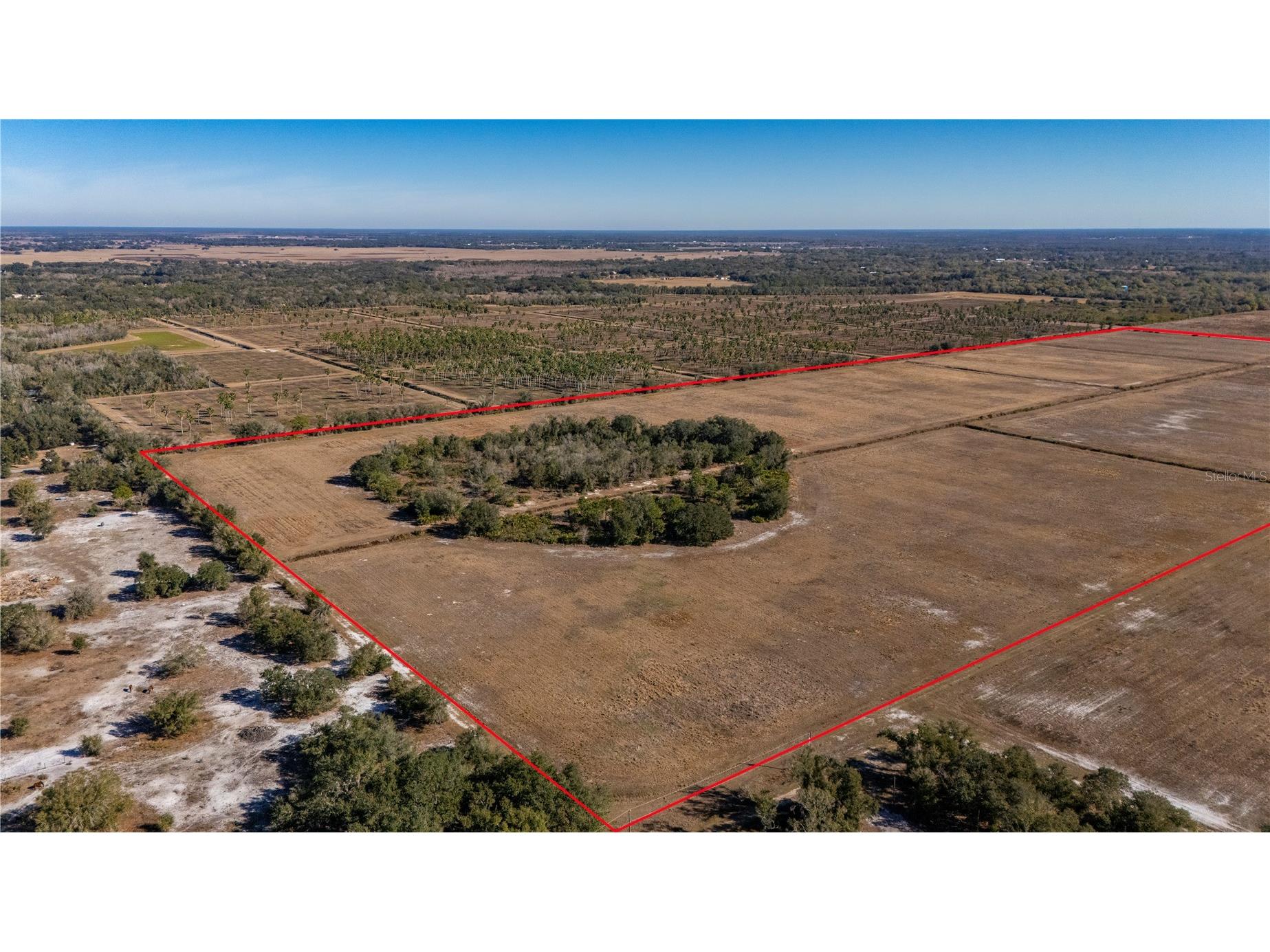 Nw Hwy 72 Arcadia FL 34266 B4902155 image17