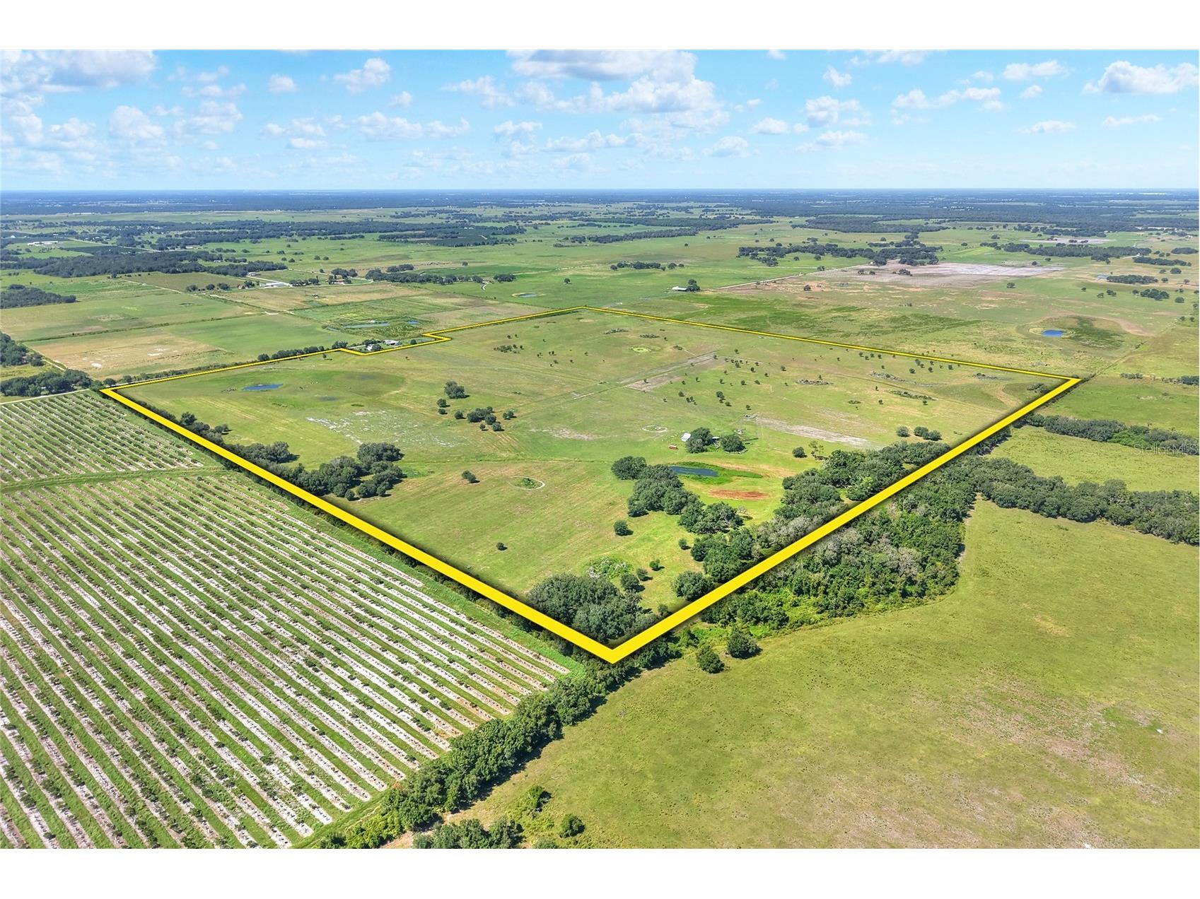 NW Limestone Heights Street Arcadia FL 34266 TB8425393 image2