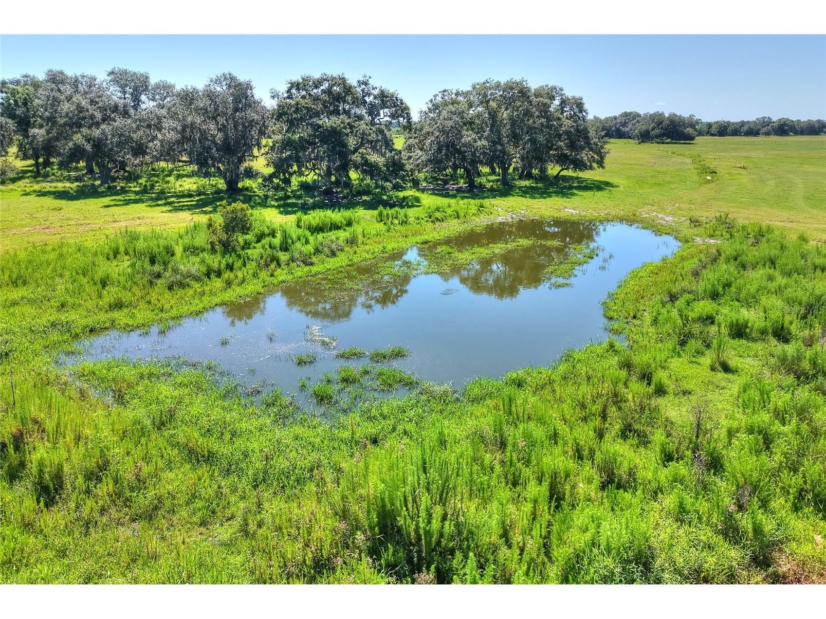 NW Limestone Heights Street Arcadia FL 34266 TB8425393 image22