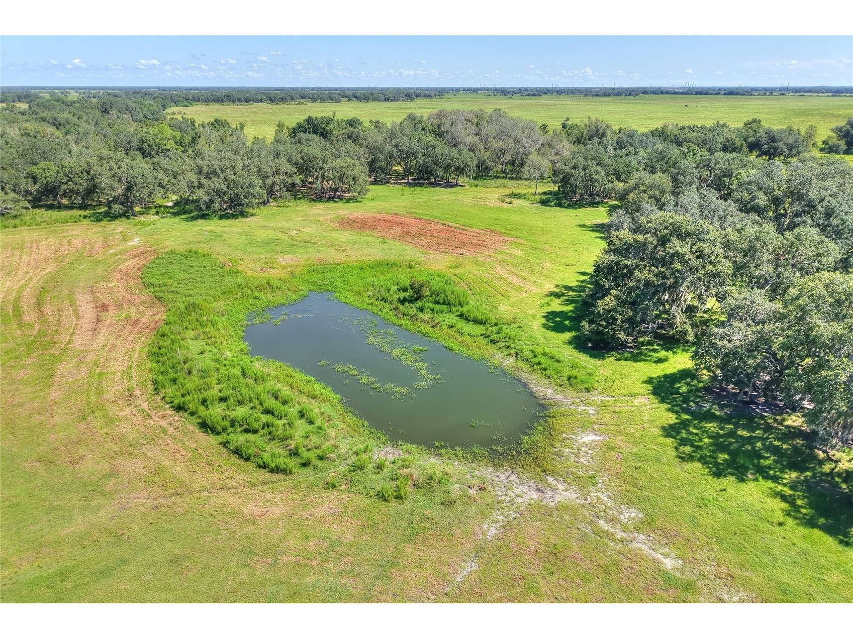 NW Limestone Heights Street Arcadia FL 34266 TB8425393 image24