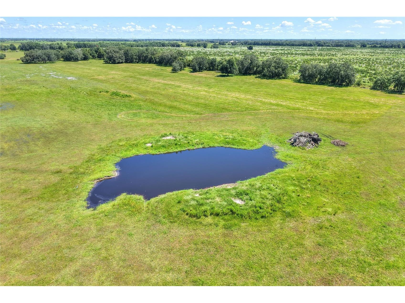 NW Limestone Heights Street Arcadia FL 34266 TB8425393 image25