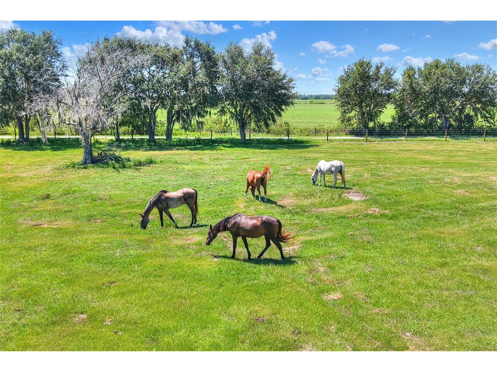 NW Limestone Heights Street Arcadia FL 34266 TB8425393 image27