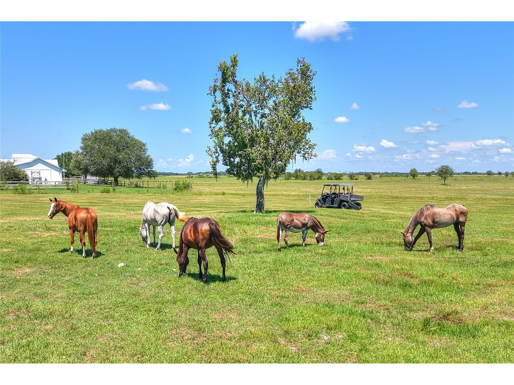 NW Limestone Heights Street Arcadia FL 34266 TB8425393 image28