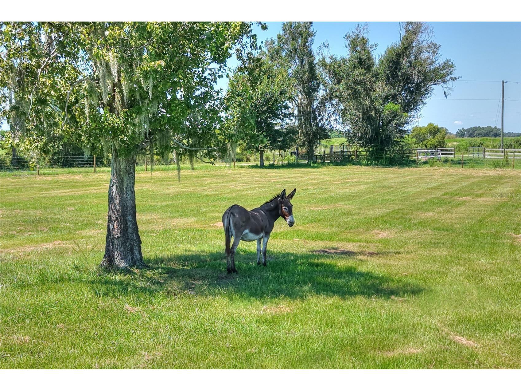 NW Limestone Heights Street Arcadia FL 34266 TB8425393 image30