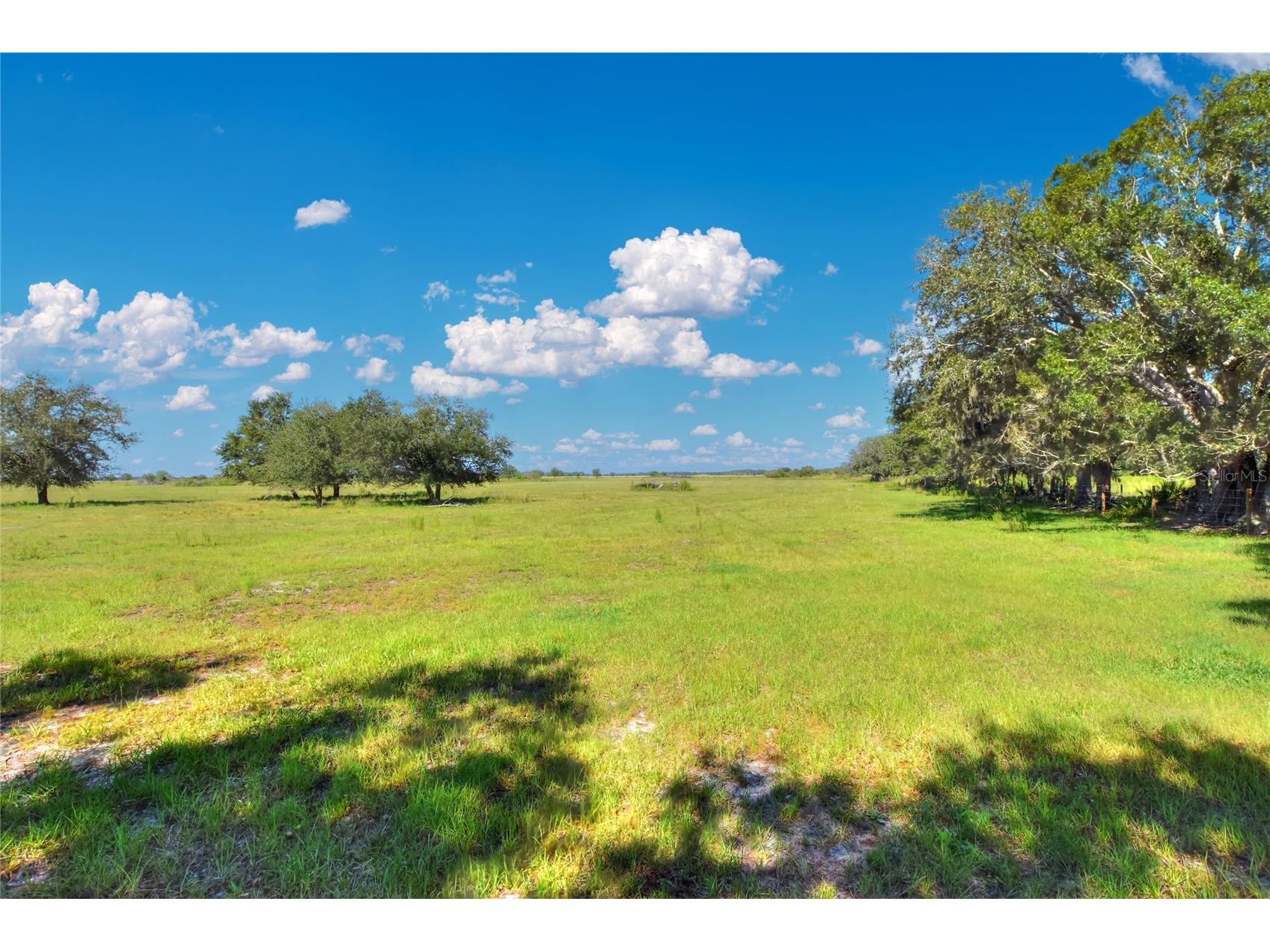 NW Limestone Heights Street Arcadia FL 34266 TB8425393 image34